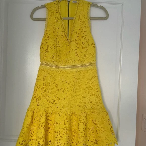 chinese dress ladies Sammy Lace Tea Length Dress  Kay Unger
